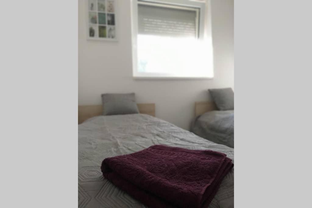 Toelgyerdo Apartman Kismaros Exterior photo