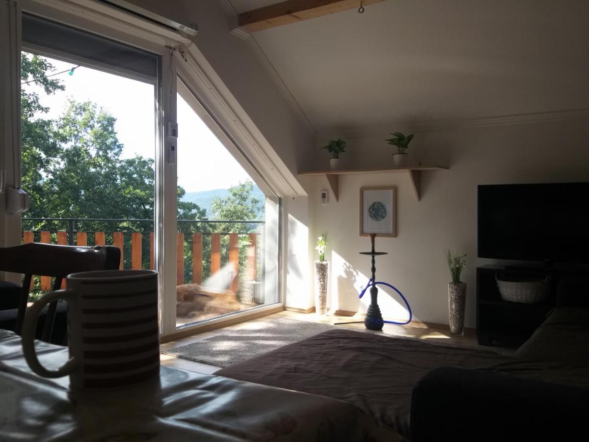 Toelgyerdo Apartman Kismaros Exterior photo